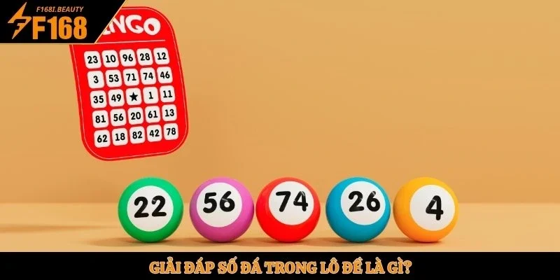 Giải đáp số đá trong lô đề là gì?