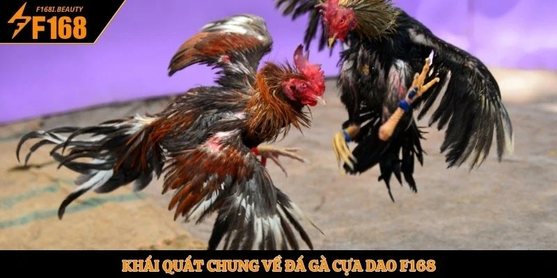 Khái quát chung về đá gà cựa dao F168