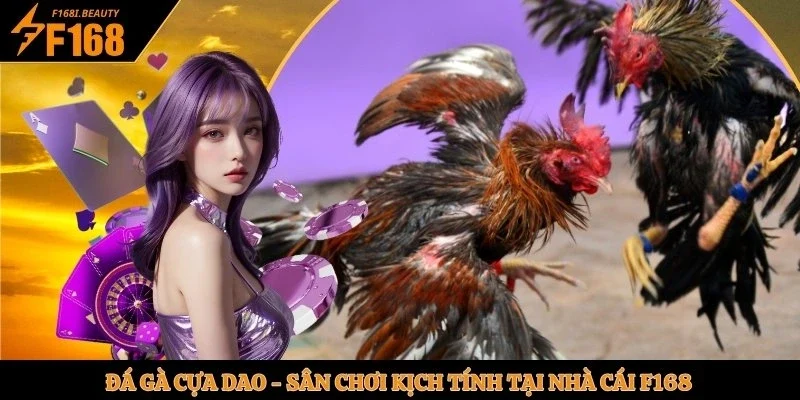 đá gà cựa dao