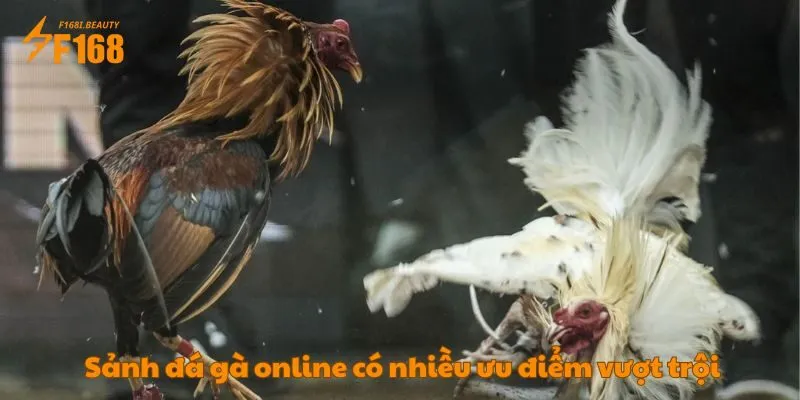 Sảnh đá gà online có nhiều ưu điểm vượt trội